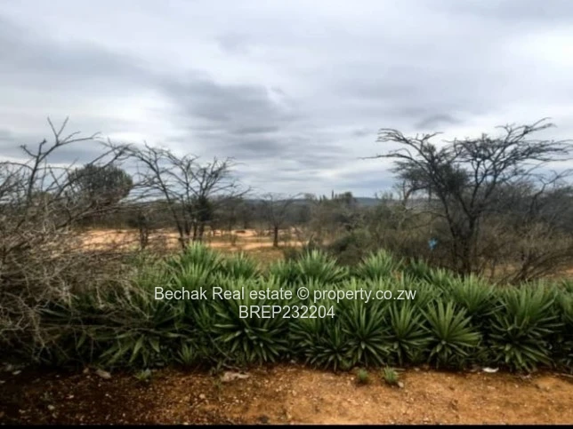 1 Hectare Arable Land with Road Frontage in Kensington