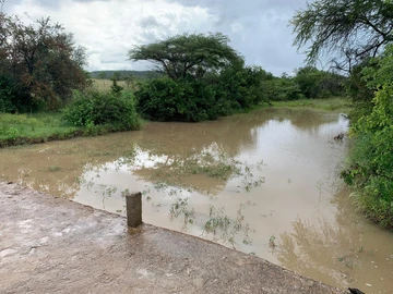 Farm & Agricultural Land