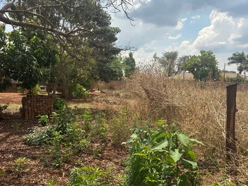 Stands & Residential Land