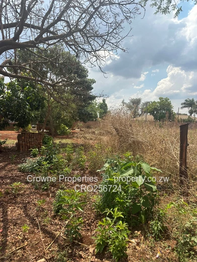 Residential Stand For Sale