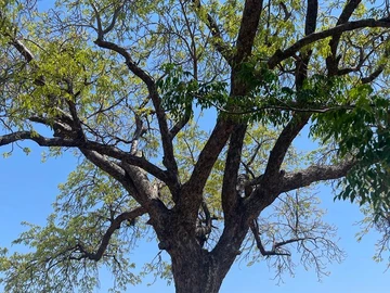 Farm & Agricultural Land