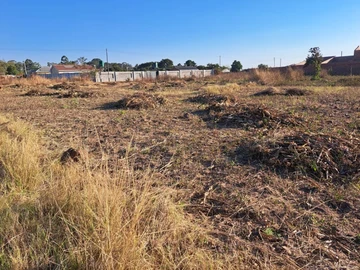 Stands & Residential Land