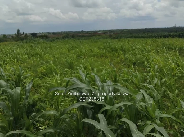 Prime Commercial Stand for Sale in Chinhoyi