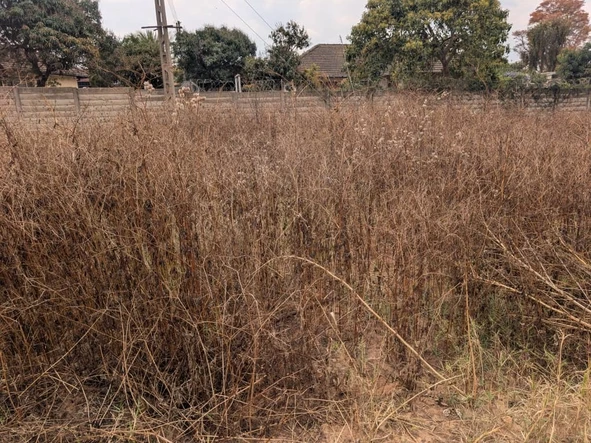 Stands & Residential Land