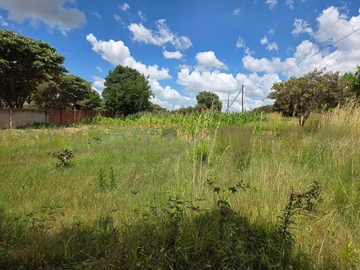 Stands & Residential Land