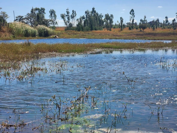 Farm & Agricultural Land