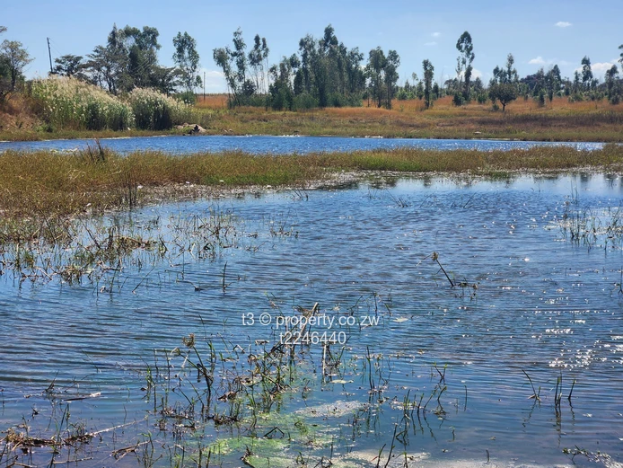  Darwendale Farm - 400 hectares 