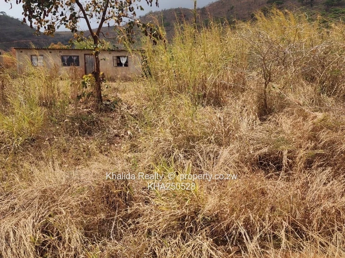 Mutare Weirmouth stands for sale