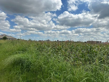 Stands & Residential Land