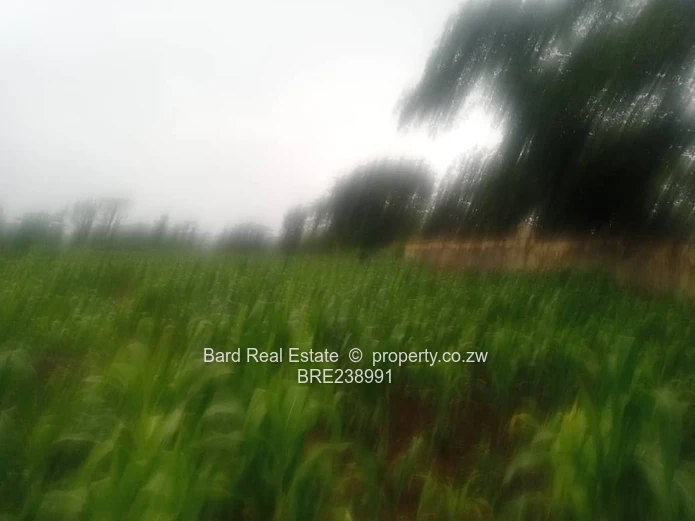 26ha Borrowdale — Subdivide-Ready, Main Road Frontage