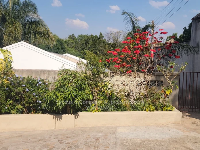 4 Bed Houses for Rent in Greystone Park XDS191434