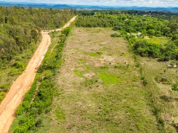 Farm & Agricultural Land