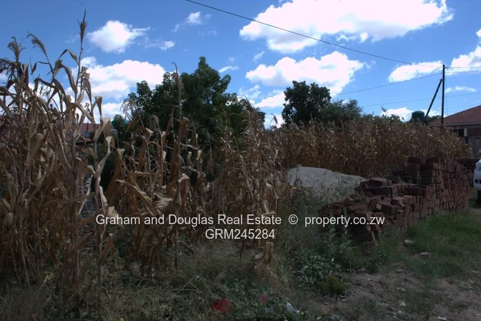 Zimre Park stand for sale