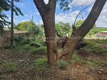 Stands & Residential Land