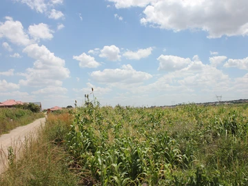 Commercial & Industrial Land