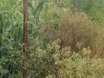 Farm & Agricultural Land