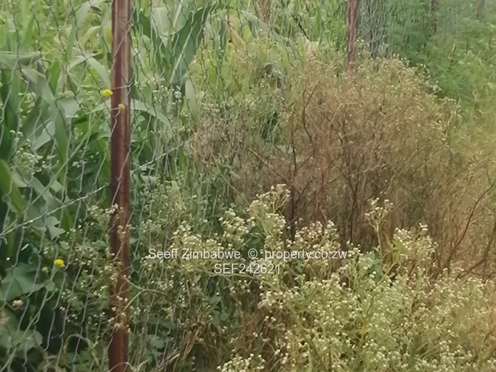 Rare Gem in Kensington, On Prime 8094 square meters virgin land in Bulawayo with Enormous Potential (Sole Mandate)