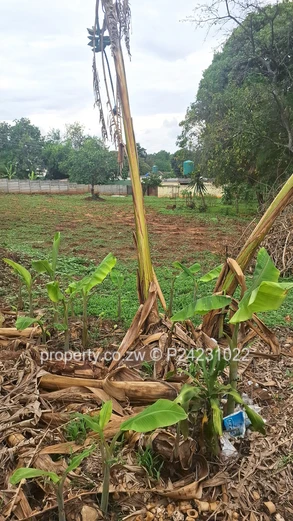 Greystone Park $179K