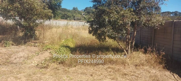 Crow-Hill Residential Stand for Sale (Near Site office)