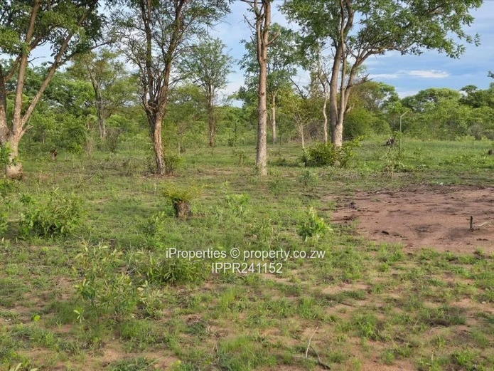 Choice of 3 Commercial Stands in Kadoma