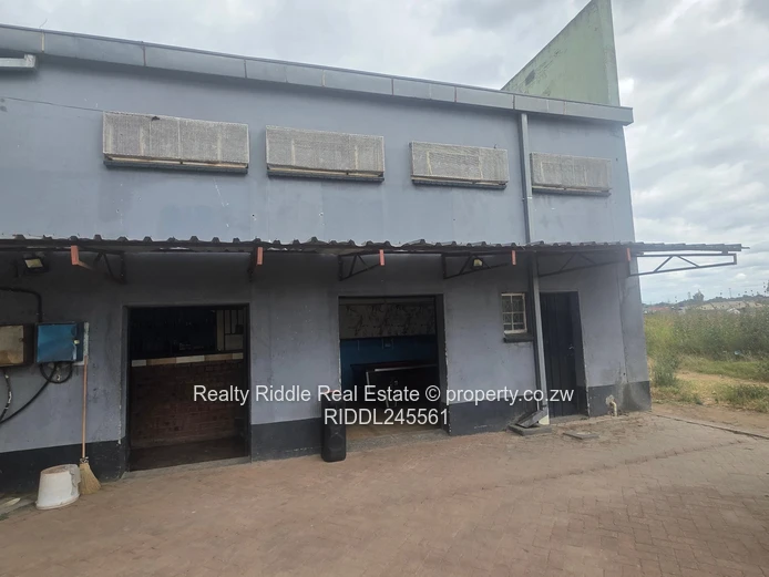 Investment Opportunity 