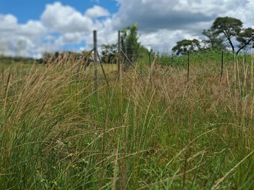Farm & Agricultural Land