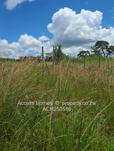 Glenforest agro residential plot 