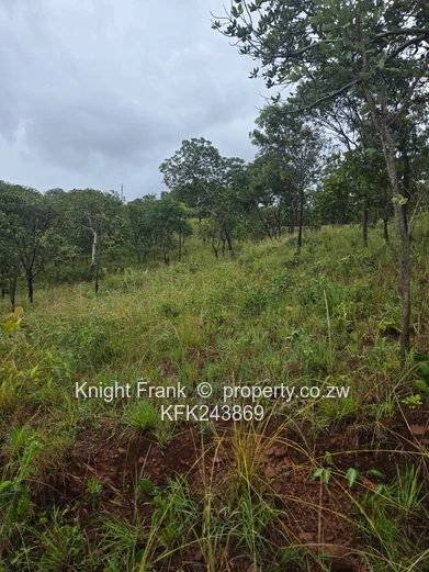 6000m² Shawasha Hills Stand — Access Controlled, Tarred