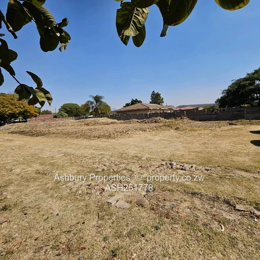 Great Investment Opportunity in Belverdere
