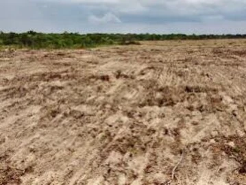 Farm & Agricultural Land