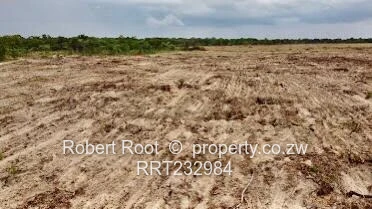 Unlock your faming potential in Beatrice