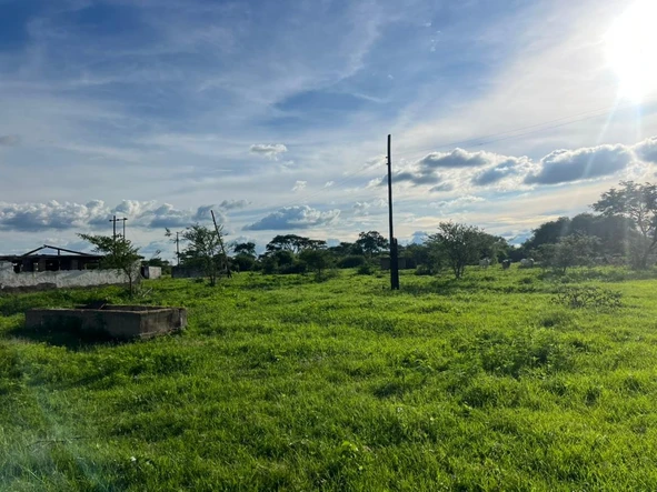 Farm & Agricultural Land