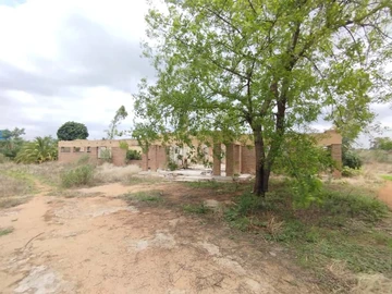Farm & Agricultural Land