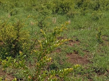 Commercial & Industrial Land