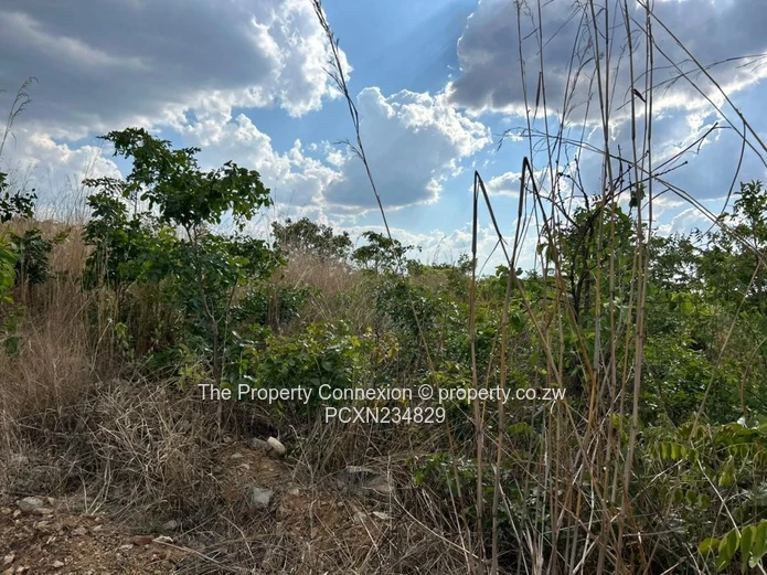 | Best Opportunity to Acquire a Good Investment Home, Buckland Estate |