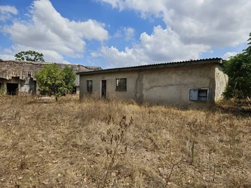 Farm & Agricultural Land