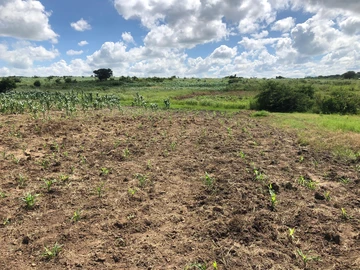 Commercial & Industrial Land