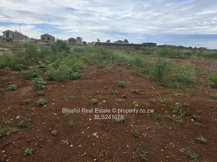 Rainham Park Stand for Sale