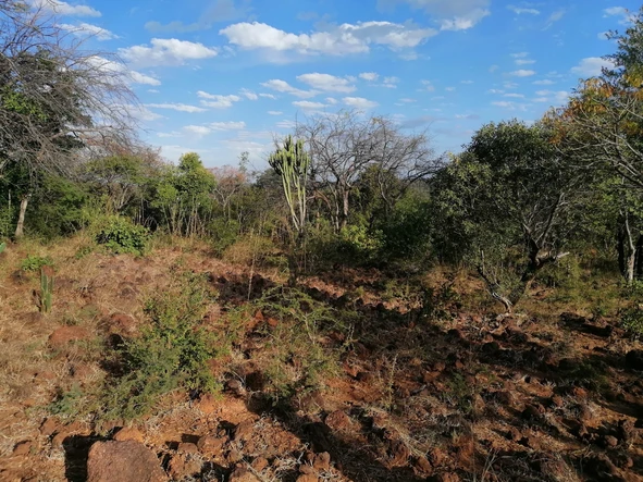 Farm & Agricultural Land