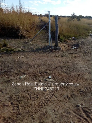 Norton plot for sale