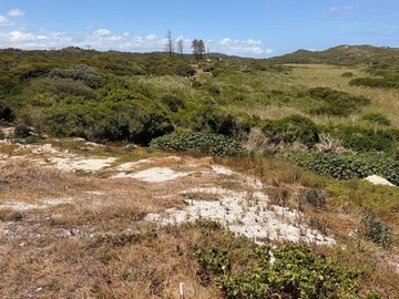 Stands & Residential Land