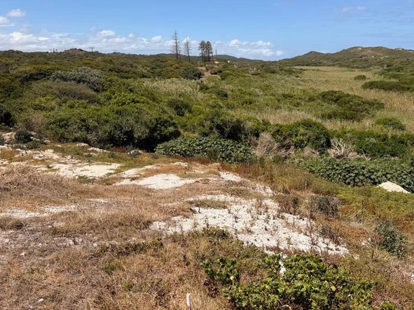 Stands & Residential Land