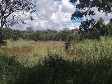 Farm & Agricultural Land