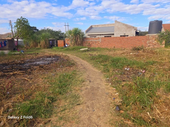 Stands & Residential Land