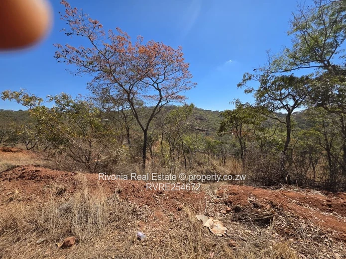 2,237 m² Gletwin Park Plot with Bushveld Views & Tarred Access