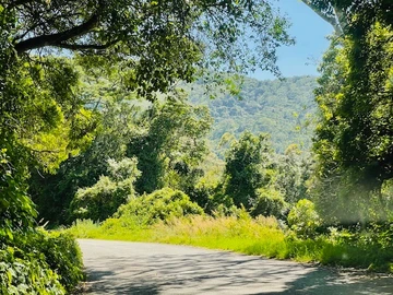 Embrace Serenity and Opportunity in the Mystical Vumba Mountains!