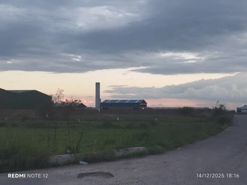 Commercial & Industrial Land