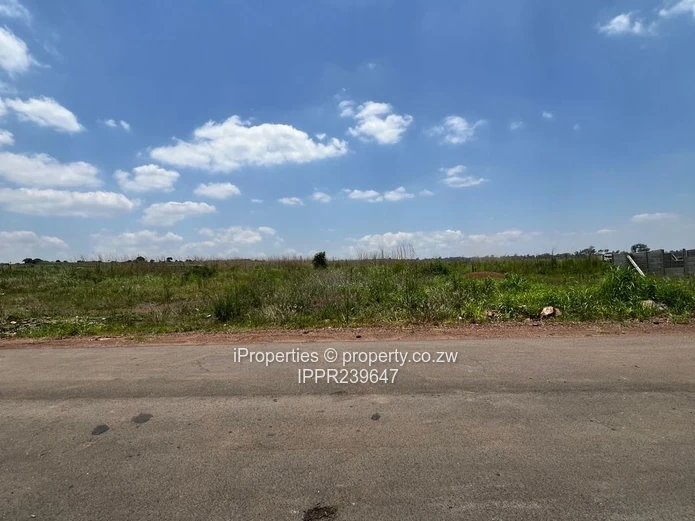 Discover a City Within a City