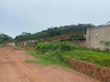 Stands & Residential Land