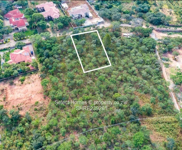 Gletwyn Stand for Sale